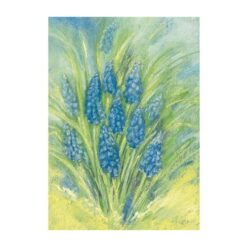 Ansichtkaart Blauwe druifjes (Marjan van Zeyl)