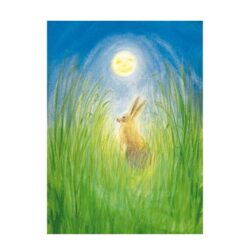 Ansichtkaart Het haasje en de maan (Marjan van Zeyl)