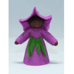 Ambrosius Fee Morning Glory