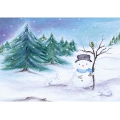 Ansichtkaart De sneeuwpop