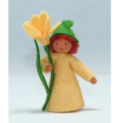 Ambrosius Fee Krokus