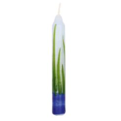 Ahrens kaars riet