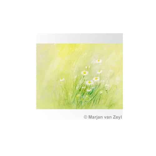 Ansichtkaart Madeliefjes (Marjan van Zeyl)