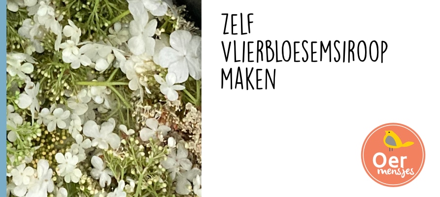 Vlierbloesemsiroop maken