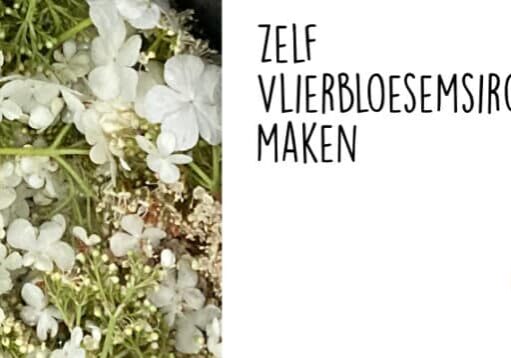 Vlierbloesemsiroop maken